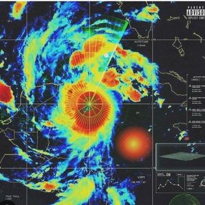 Meet your Posher, Shane